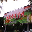 무작정숯불