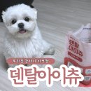 아이츄 | 우리집 강아지 치석껌, 허글 덴탈 아이츄로 치석 관리 성공기!