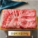 화려한우정육점
