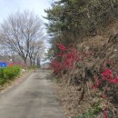 부남보건지소 이미지