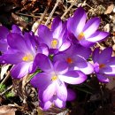 종명랜드 이미지