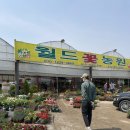 늘봄화원 | 식물 키우기 시즌2 - 나들이 : 고양화훼단지 (월드꽃농원, 일산화분도자기)
