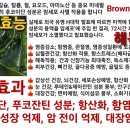 알벤다졸 리서치 및 임상체험; 대장암 수술없이 완전 치료됨!!! 이미지