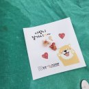 쏙쏙사랑니치과의원 이미지