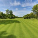 대국골프 이미지