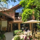 커피나무 꽃향기 | 모모스커피 본점|봄나들이 가능한 정원 카페 주문,주차 꿀팁