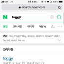 foggy 뜻 이제찾아봄ㅋㅋ 이미지
