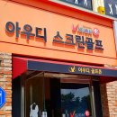 아우디스크린골프