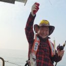 광어랑우럭이랑 이미지