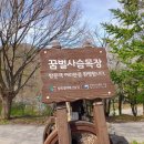 꿈벌사슴목장 네이버블로그