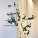 간이화장실_상도근린공원(상도동, 초소앞) | 숭실대입구역 카페 원즈아토, 햇살 가득한 공간 맛있는 디저트와 라떼