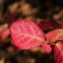 소현초등학교 이미지