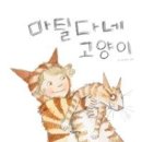마틸다 카카오 검색결과
