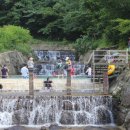 민주지산자연휴양림 이미지