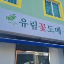 유림-1065 이미지