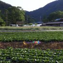 삼방산길 이미지