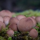 농업기술원 앞 이미지