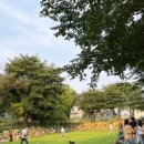 드린겐 애견테마파크 이미지