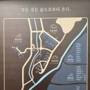 충서로 2(국도21호선) | 수락휴 동막골자연휴양림 식당 씨즌서울 by 홍신애