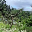 영훈농장 이미지