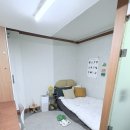 윌스테이