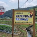 둥지마을둥지농원