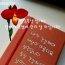 엘림목장 이미지