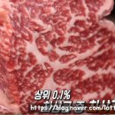 주)으뜸 이미지