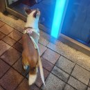 마곡 여기약국 이미지