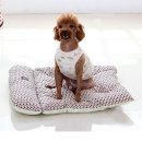 도그인 그레이 이미지