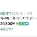 벨하이솝 이미지