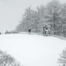 성철목장 이미지