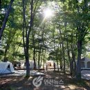 구석기체험숲4 이미지