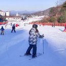 비발디파크
