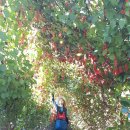 정섭농장 이미지