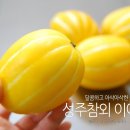 가나 농축산 | [달고 맛있는 성주참외 이야기/성주 월항참외] 왜 참외는 온통 성주참외 뿐일까? 참외씨에 대한 오해...