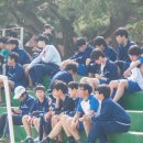 김천중학교 Daum카페