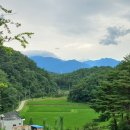 모노골샘터 이미지