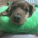 공주휴게소 이미지