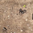 마루주막 이미지