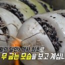 레알라면 이미지