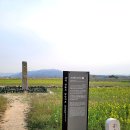 대성목재 | [유네스코 등재 세계 문화유산, 황룡사지구 &amp; 석굴암]