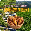 18억 매출 농부의 비결?! 냉해 폭염 이겨낸 고구마 비료 올케어 &amp; SPK 실제 사용 후기