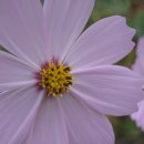 만경우체국 이미지