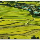 건천목장 이미지