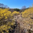 상위마을 입구 이미지