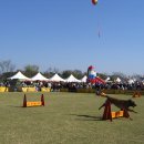 오수의견관광지 이미지