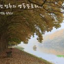 송호리 Daum카페