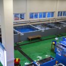 대게타운 이미지