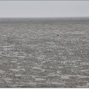 화성정류장 이미지